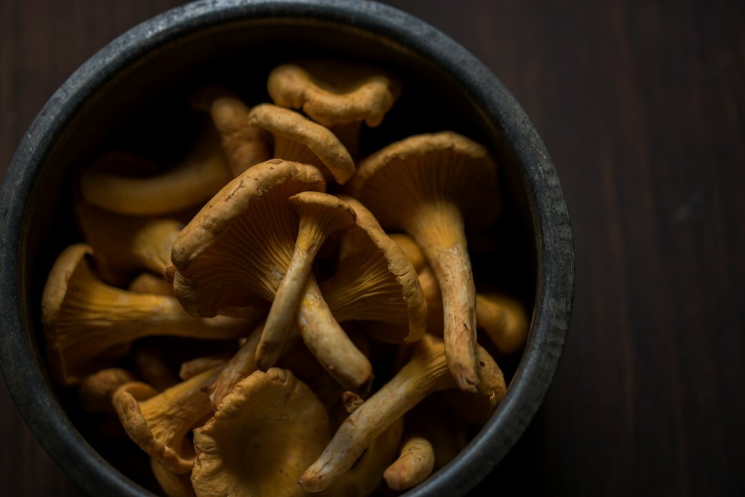 Basket of freshly picked forest mushrooms on a wooden table